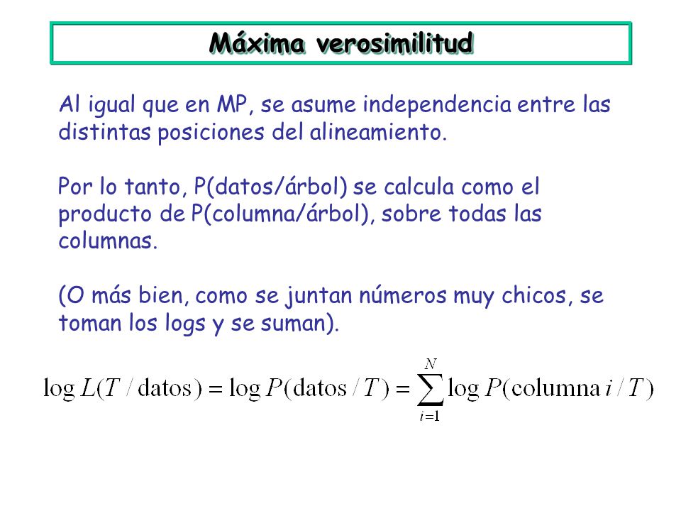 Máxima verosimilitud Al igual que en MP, se asume independencia entre las distintas posiciones del alineamiento.