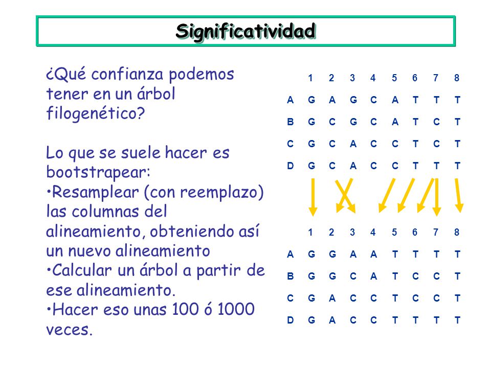Significatividad ¿Qué confianza podemos tener en un árbol filogenético Lo que se suele hacer es bootstrapear: