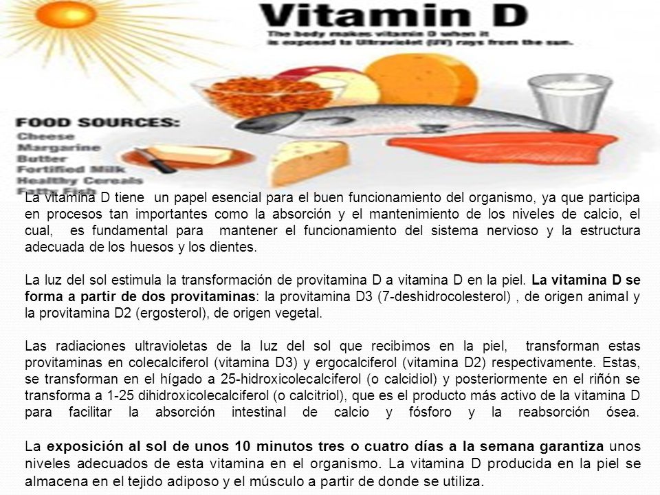 La vitamina D tiene un papel esencial para el buen funcionamiento del organismo, ya que participa en procesos tan importantes como la absorción y el mantenimiento de los niveles de calcio, el cual, es fundamental para mantener el funcionamiento del sistema nervioso y la estructura adecuada de los huesos y los dientes.