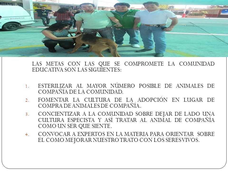 LAS METAS CON LAS QUE SE COMPROMETE LA COMUNIDAD EDUCATIVA SON LAS SIGUIENTES: