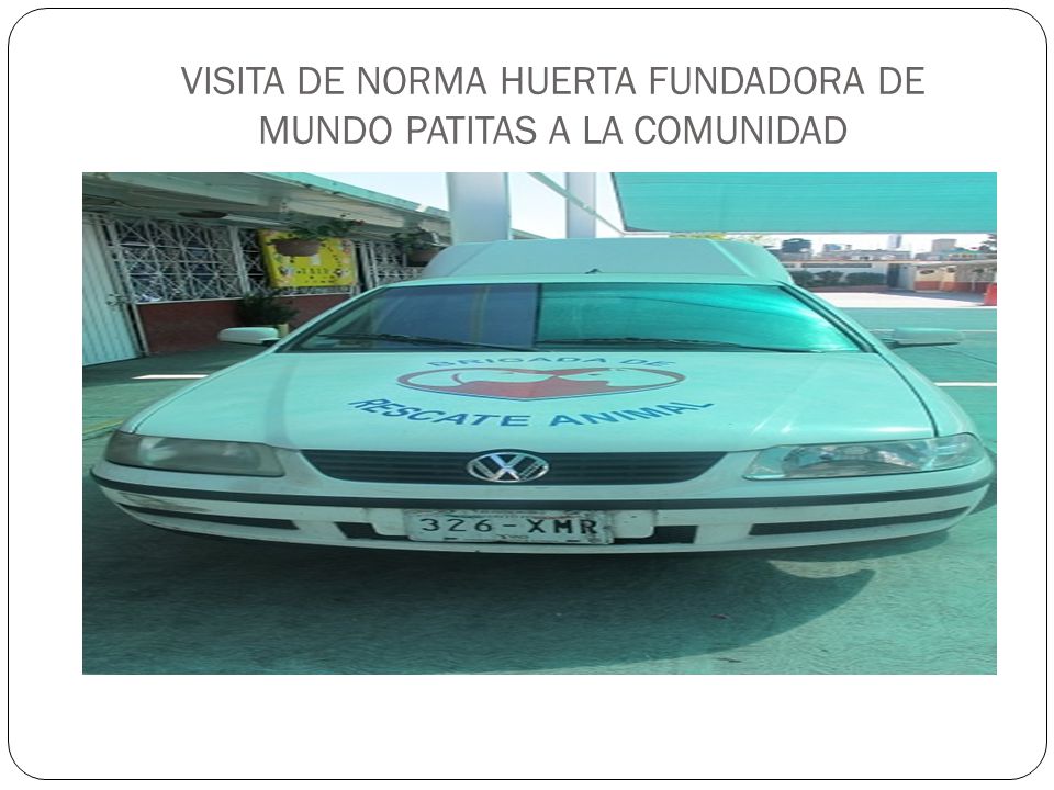 VISITA DE NORMA HUERTA FUNDADORA DE MUNDO PATITAS A LA COMUNIDAD