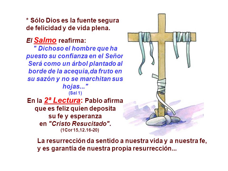 * Sólo Dios es la fuente segura de felicidad y de vida plena.