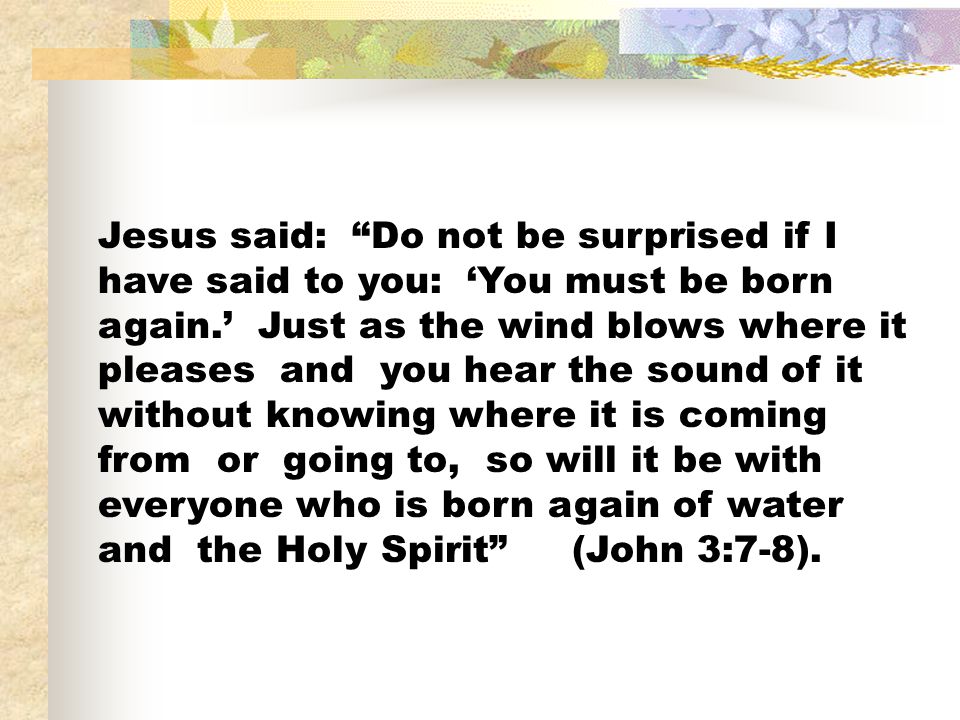 Jesus said: Do not be surprised if I have said to you: ‘You must be born again.’ Just as the wind blows where it pleases and you hear the sound of it without knowing where it is coming from or going to, so will it be with everyone who is born again of water and the Holy Spirit (John 3:7-8).