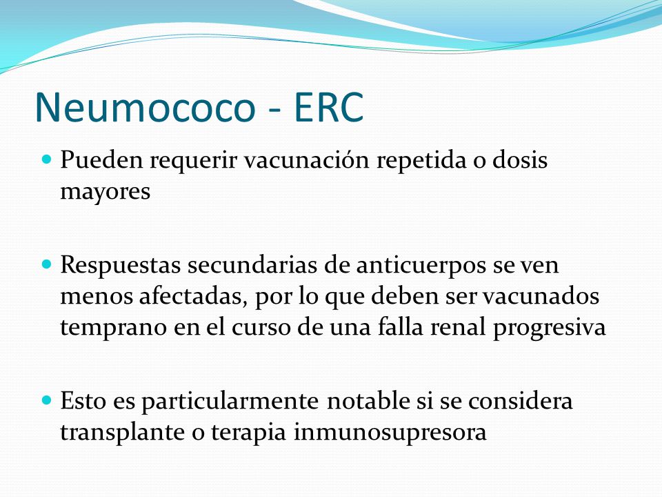 Neumococo - ERC Pueden requerir vacunación repetida o dosis mayores