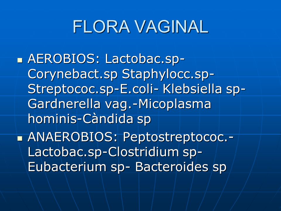 FLORA VAGINAL AEROBIOS: Lactobac.sp-Corynebact.sp Staphylocc.sp- Streptococ.sp-E.coli- Klebsiella sp-Gardnerella vag.-Micoplasma hominis-Càndida sp.