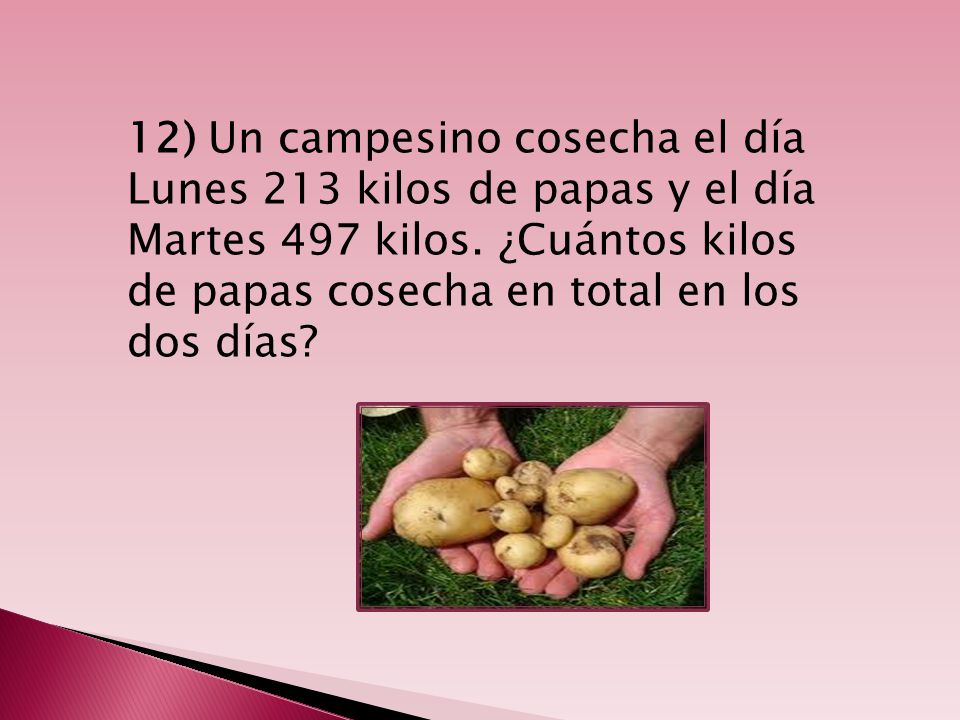 12) Un campesino cosecha el día Lunes 213 kilos de papas y el día Martes 497 kilos.