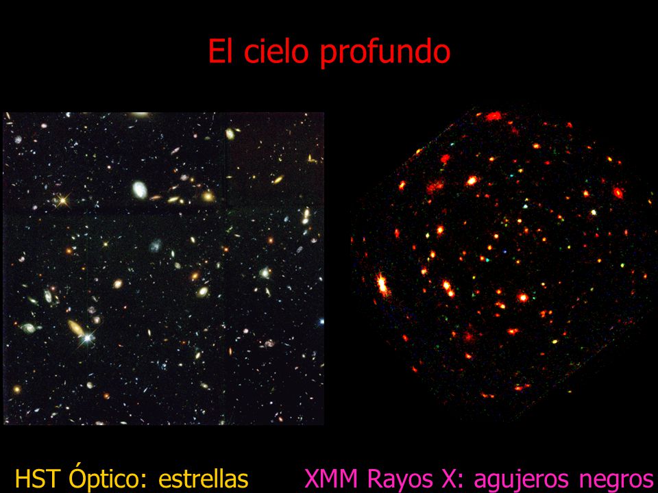 El cielo profundo HST Óptico: estrellas XMM Rayos X: agujeros negros