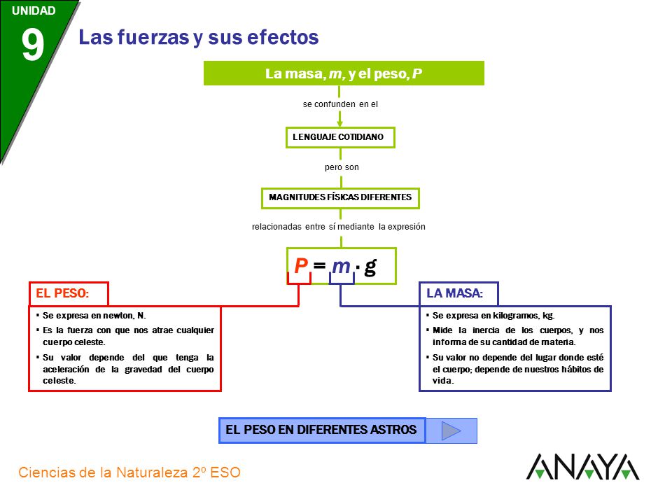 P = m · g La masa, m, y el peso, P EL PESO: LA MASA: