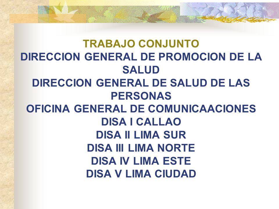 TRABAJO CONJUNTO DIRECCION GENERAL DE PROMOCION DE LA SALUD DIRECCION GENERAL DE SALUD DE LAS PERSONAS OFICINA GENERAL DE COMUNICAACIONES DISA I CALLAO DISA II LIMA SUR DISA III LIMA NORTE DISA IV LIMA ESTE DISA V LIMA CIUDAD