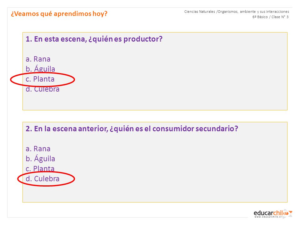 1. En esta escena, ¿quién es productor a. Rana b. Águila c. Planta
