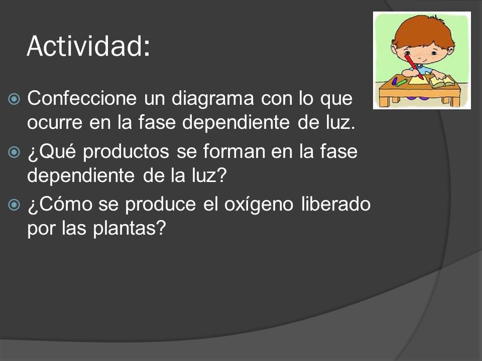 Actividad: Confeccione un diagrama con lo que ocurre en la fase dependiente de luz. ¿Qué productos se forman en la fase dependiente de la luz