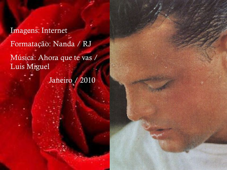 Imagens: Internet Formatação: Nanda / RJ Música: Ahora que te vas / Luis Miguel Janeiro / 2010