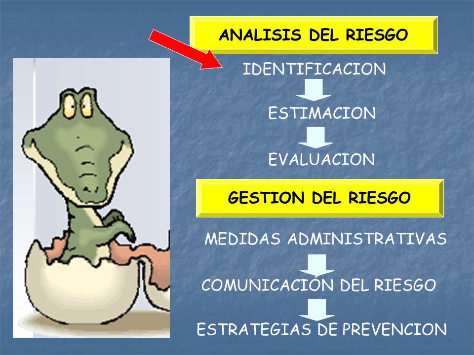 ANALISIS DEL RIESGO IDENTIFICACION. ESTIMACION. EVALUACION. GESTION DEL RIESGO. MEDIDAS ADMINISTRATIVAS.