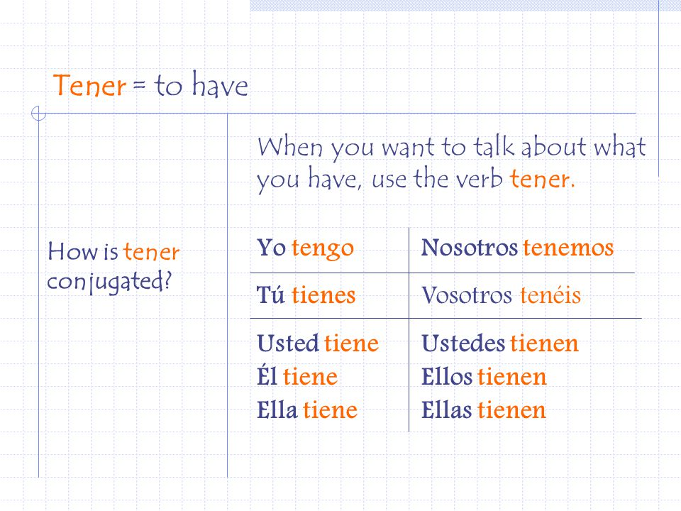 Tener = to have When you want to talk about what you have, use the verb tener. Yo tengo. Tú tienes.