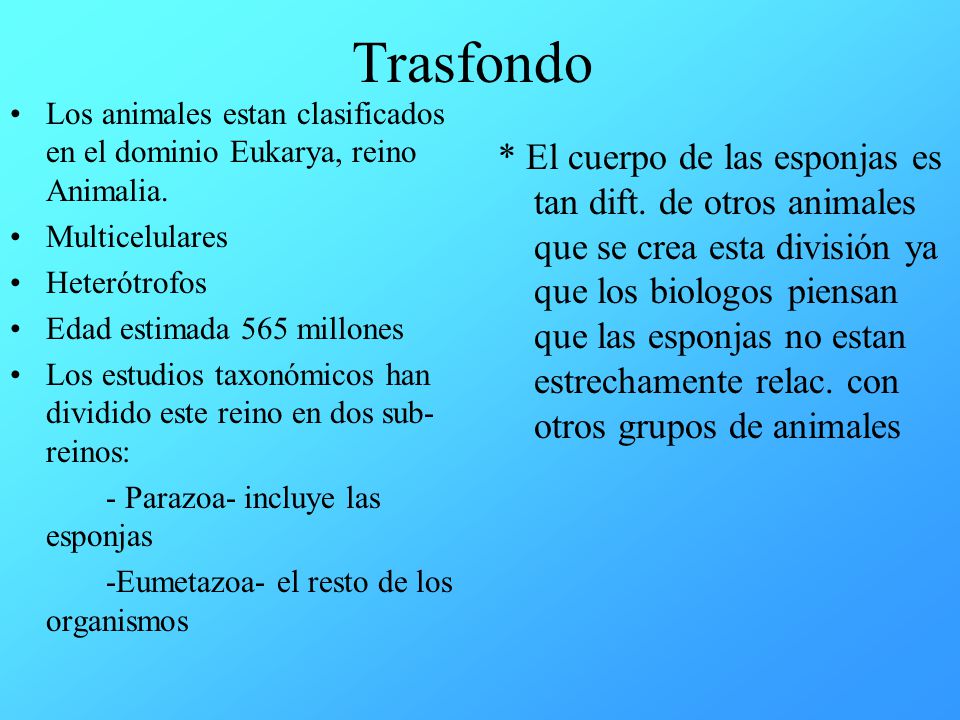 Trasfondo Los animales estan clasificados en el dominio Eukarya, reino Animalia. Multicelulares. Heterótrofos.