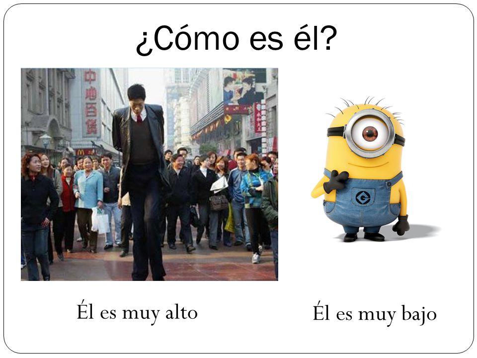 ¿Cómo es él Él es muy alto Él es muy bajo