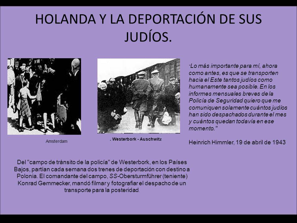 HOLANDA Y LA DEPORTACIÓN DE SUS JUDÍOS.