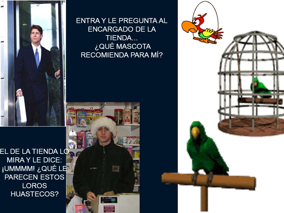 ENTRA Y LE PREGUNTA AL ENCARGADO DE LA TIENDA