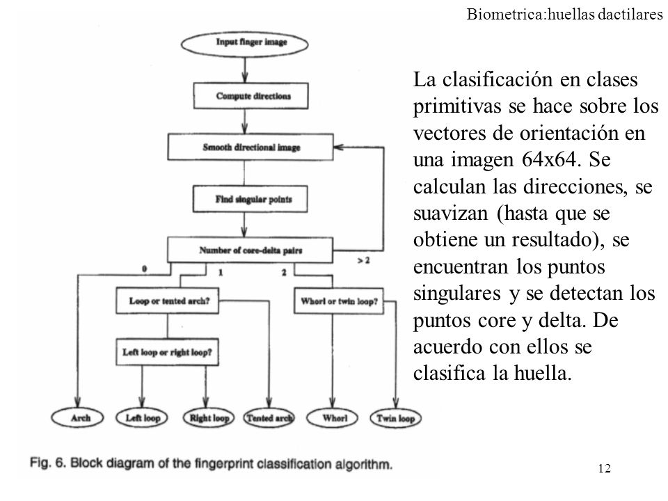 La clasificación en clases primitivas se hace sobre los vectores de orientación en una imagen 64x64.