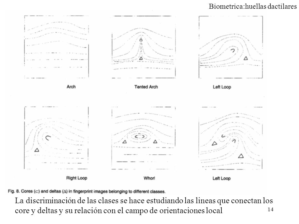 La discriminación de las clases se hace estudiando las lineas que conectan los core y deltas y su relación con el campo de orientaciones local