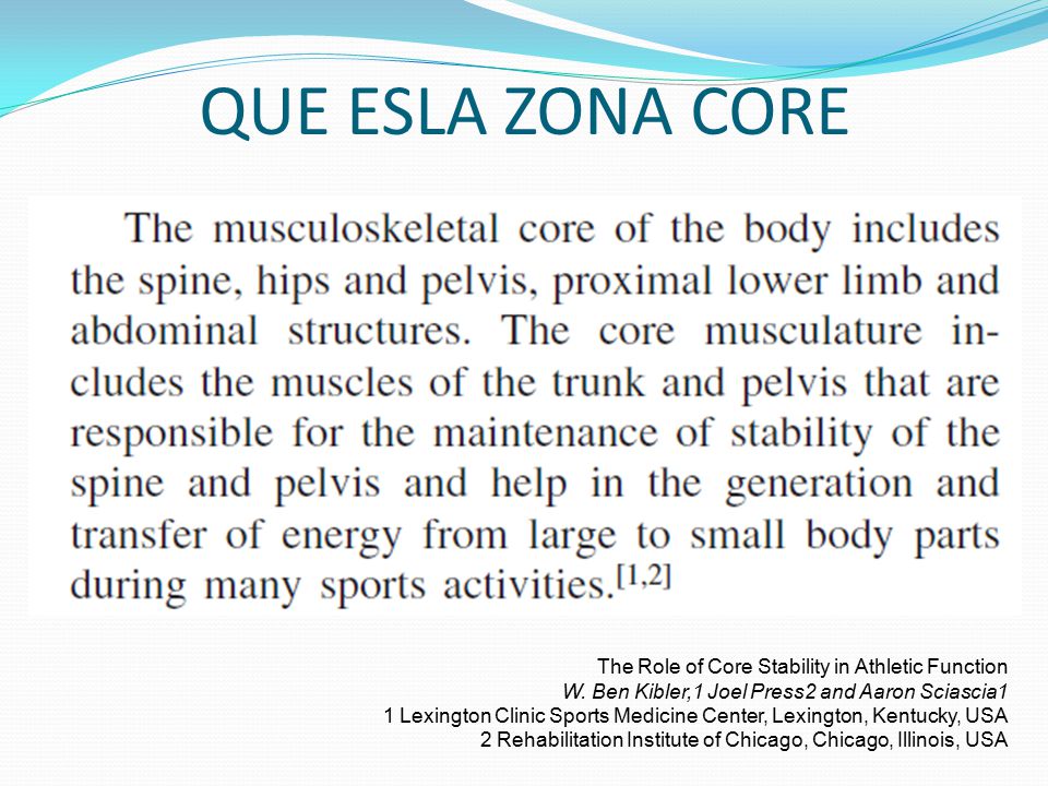 QUE ESLA ZONA CORE The Role of Core Stability in Athletic Function