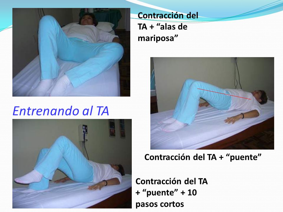 Entrenando al TA Contracción del TA + alas de mariposa