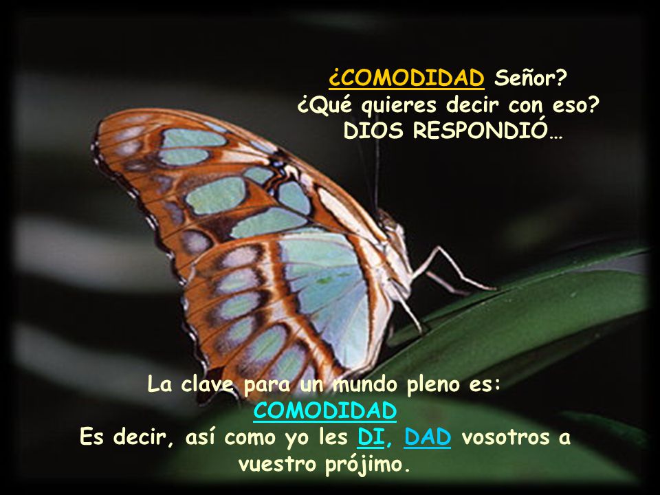 ¿COMODIDAD Señor ¿Qué quieres decir con eso DIOS RESPONDIÓ…