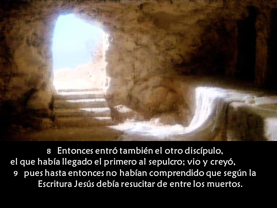 el que había llegado el primero al sepulcro; vio y creyó,