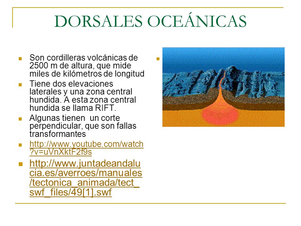 DORSALES OCEÁNICAS Son cordilleras volcánicas de 2500 m de altura, que mide miles de kilómetros de longitud.