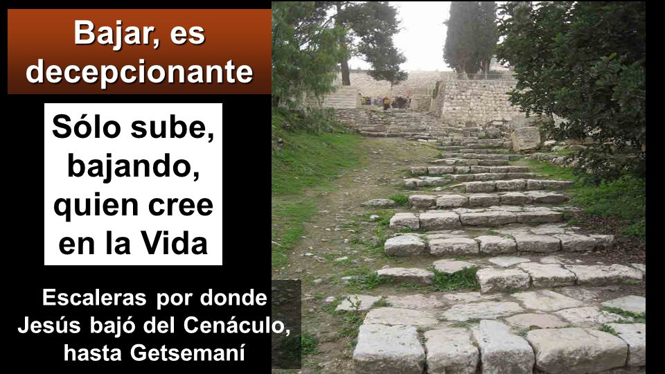 Bajar, es decepcionante Sólo sube, bajando, quien cree en la Vida