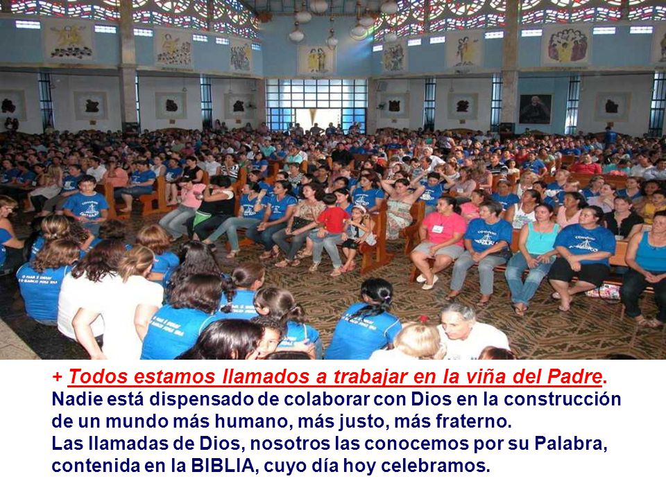 + Todos estamos llamados a trabajar en la viña del Padre.