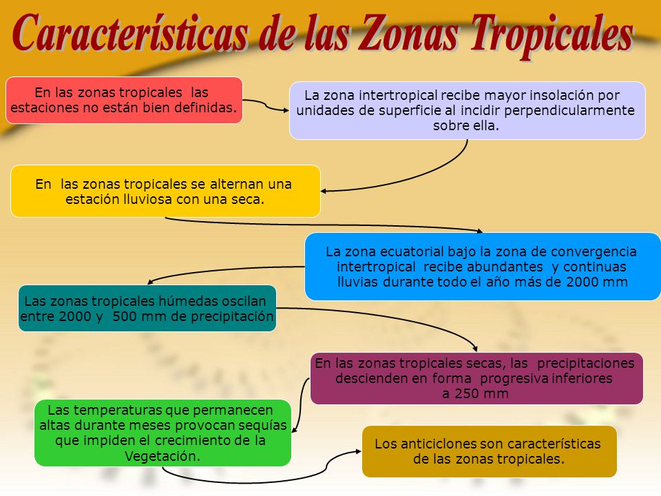 CÁTEDRA: SOCIEDAD Y AMBIENTE - ppt descargar