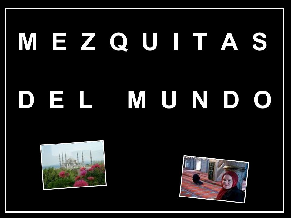 M E Z Q U I T A S D E L M U N D O