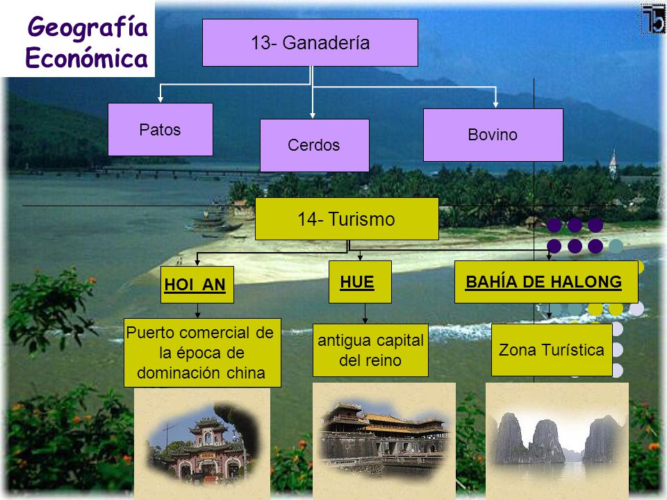 Geografía Económica 13- Ganadería 14- Turismo Patos Bovino Cerdos HUE
