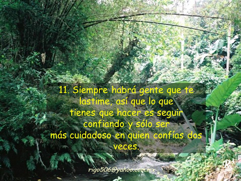11. Siempre habrá gente que te lastime, así que lo que tienes que hacer es seguir confiando y sólo ser más cuidadoso en quien confías dos veces.