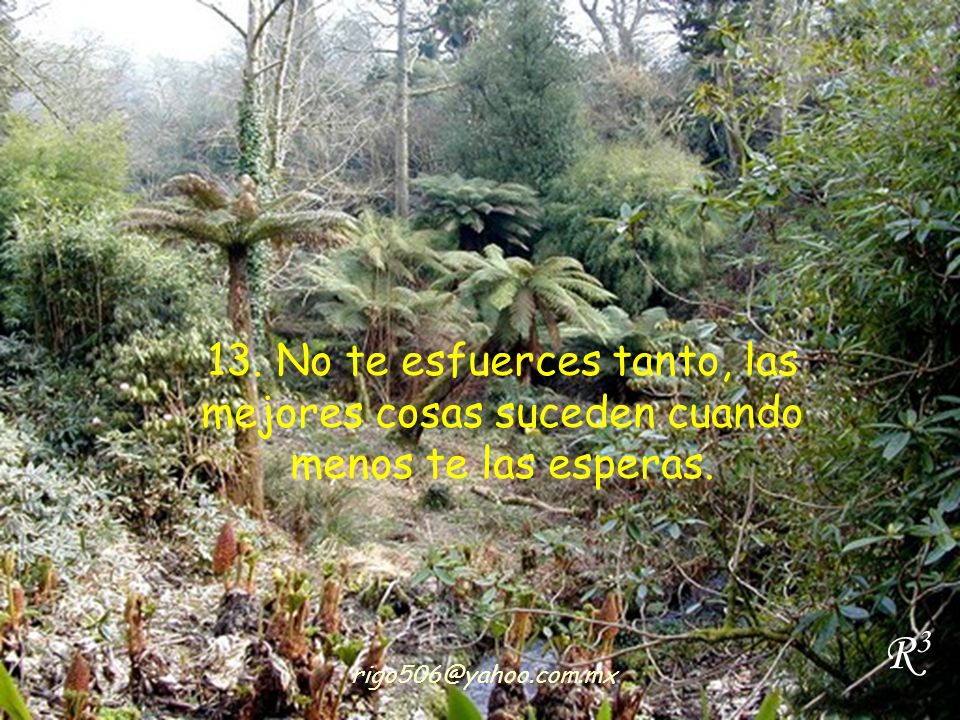 13. No te esfuerces tanto, las mejores cosas suceden cuando menos te las esperas.