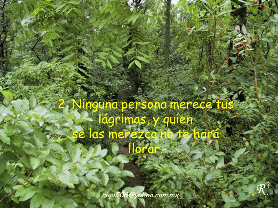 2. Ninguna persona merece tus lágrimas, y quien se las merezca no te hará llorar.