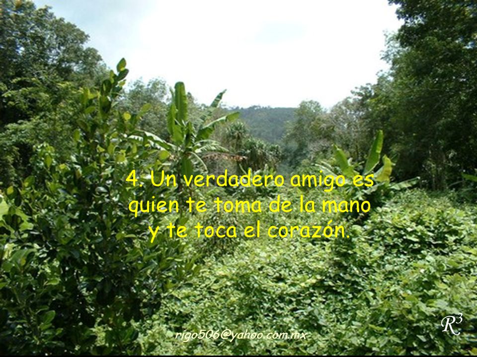 4. Un verdadero amigo es quien te toma de la mano y te toca el corazón.