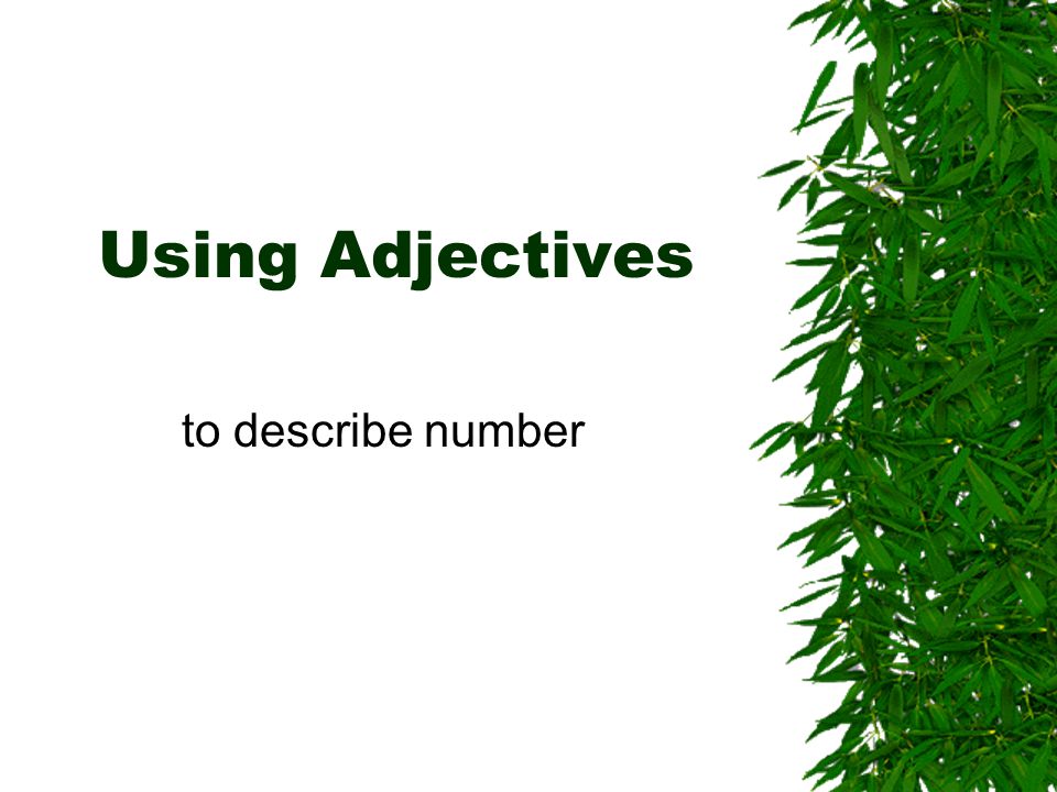 Using Adjectives to describe number