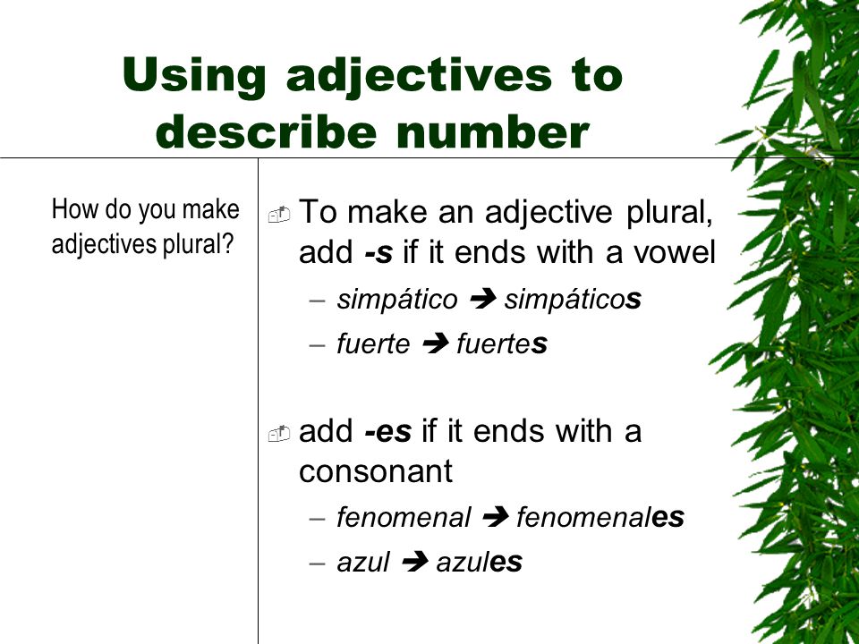 Using adjectives to describe number