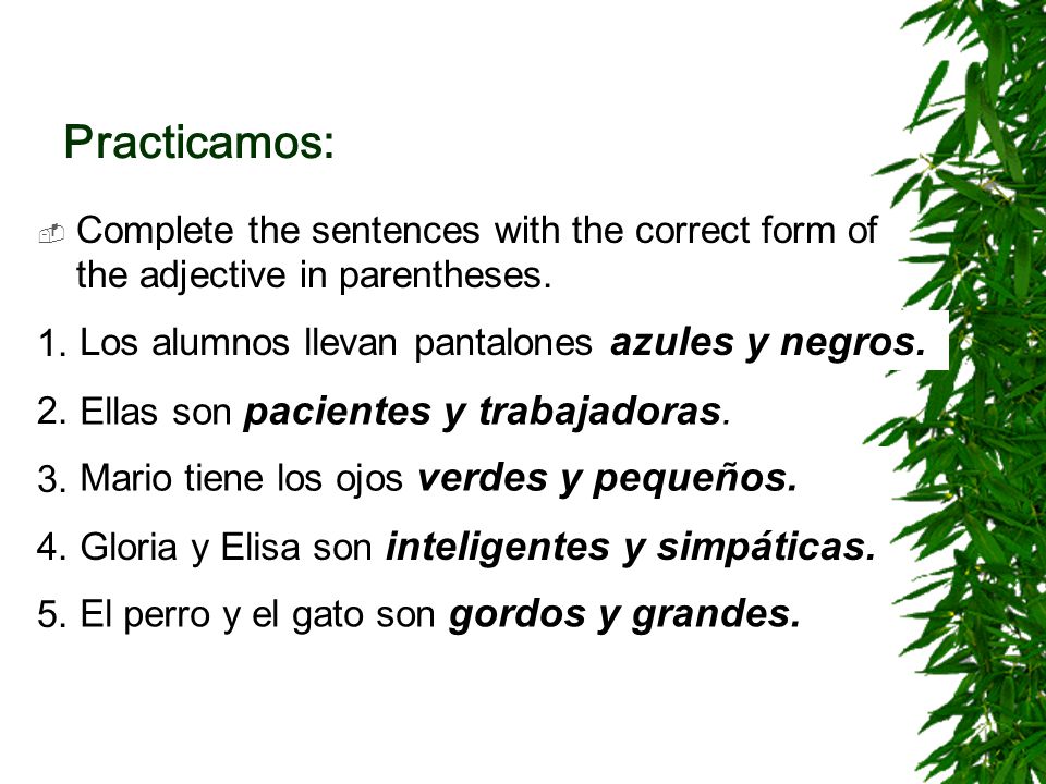 Practicamos: Complete the sentences with the correct form of the adjective in parentheses. 1. Los alumnos llevan pantalones [azul y negro(a)].