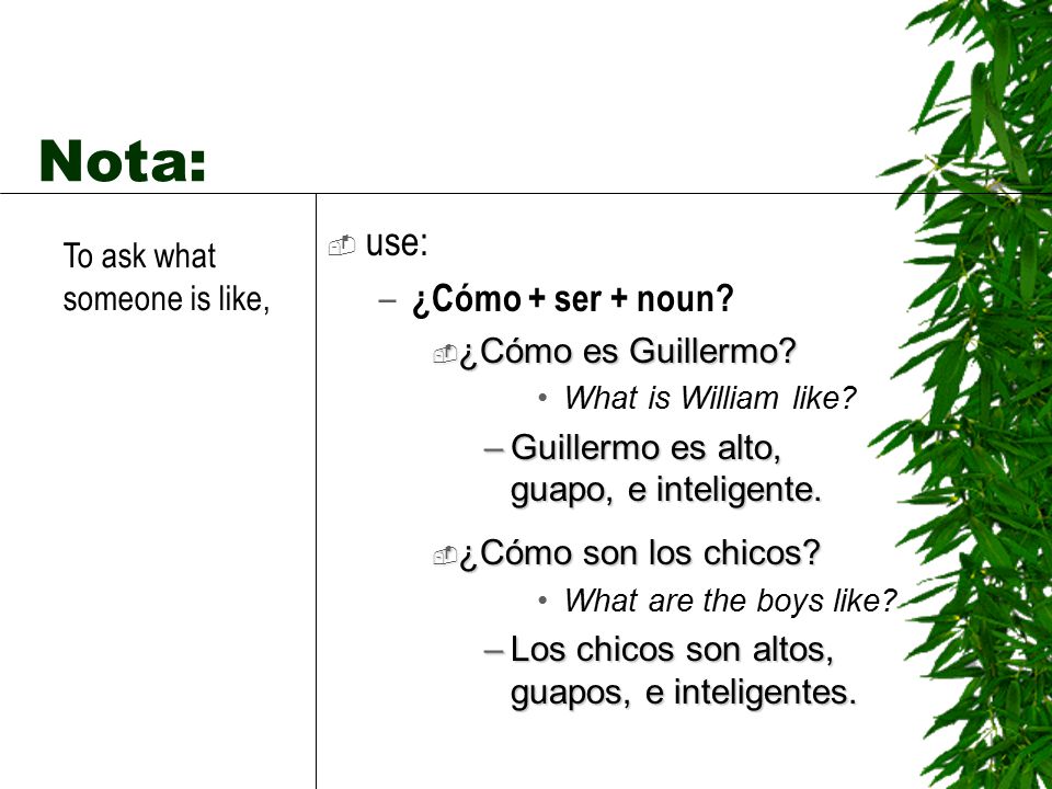 Nota: use: ¿Cómo + ser + noun To ask what someone is like,