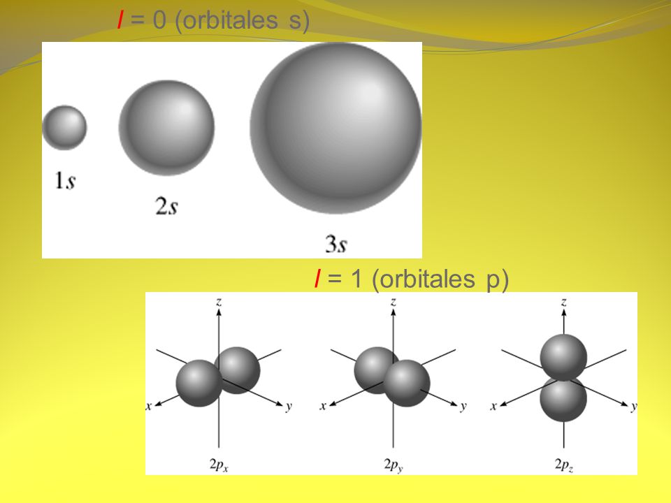 l = 0 (orbitales s) l = 1 (orbitales p)