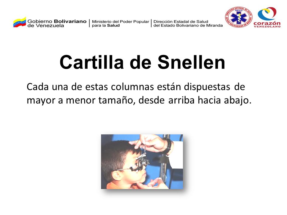 Cartilla de Snellen Cada una de estas columnas están dispuestas de mayor a menor tamaño, desde arriba hacia abajo.