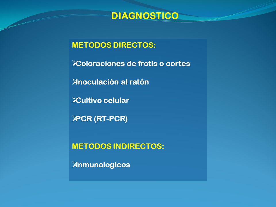 DIAGNOSTICO METODOS DIRECTOS: Coloraciones de frotis o cortes