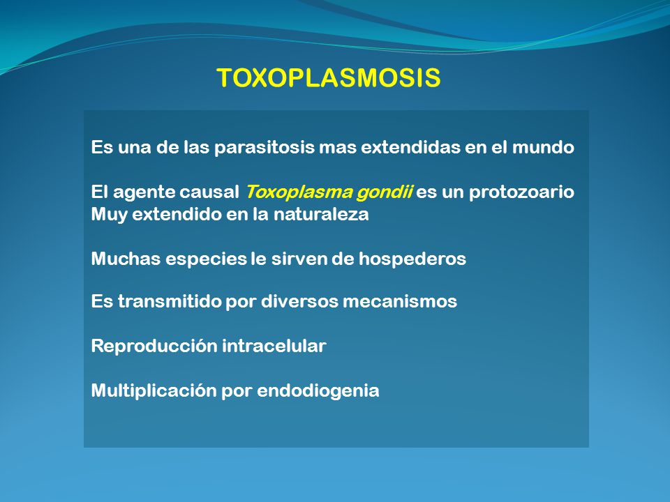 TOXOPLASMOSIS Es una de las parasitosis mas extendidas en el mundo