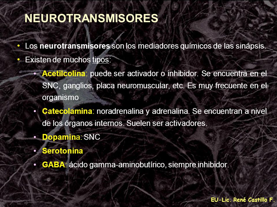 NEUROTRANSMISORES Los neurotransmisores son los mediadores químicos de las sinápsis. Existen de muchos tipos: