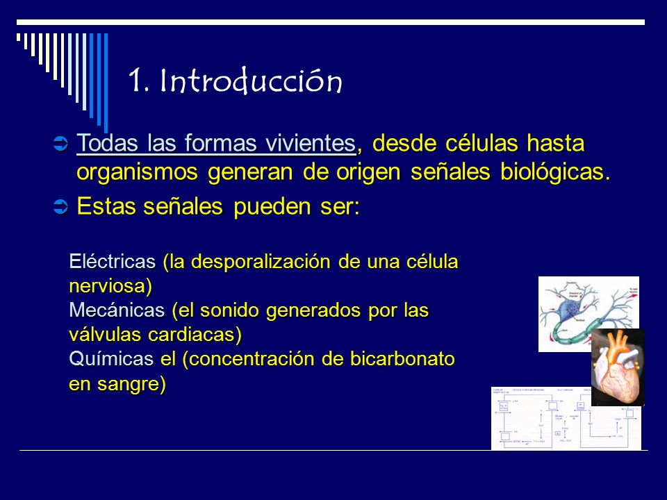 1. Introducción Todas las formas vivientes, desde células hasta organismos generan de origen señales biológicas.