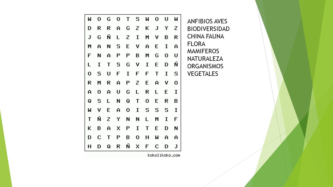 ANFIBIOS AVES BIODIVERSIDAD CHINA FAUNA FLORA MAMIFEROS NATURALEZA ORGANISMOS VEGETALES
