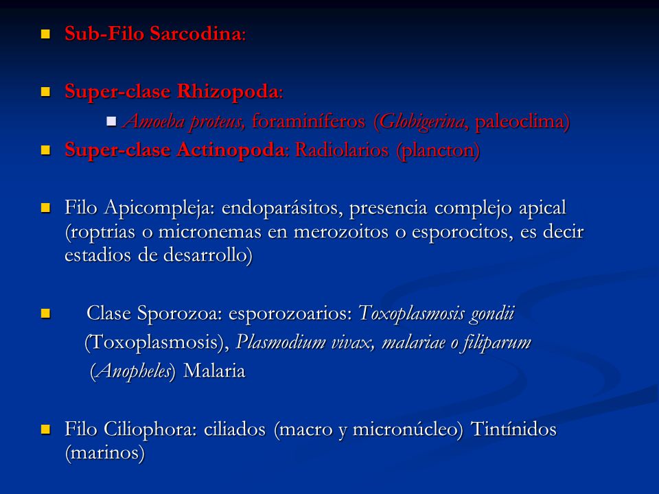 Sub-Filo Sarcodina: Super-clase Rhizopoda: Amoeba proteus, foraminíferos (Globigerina, paleoclima)